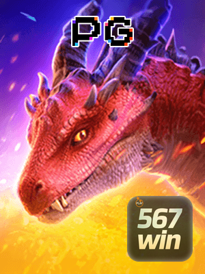Recursos App 567WIN